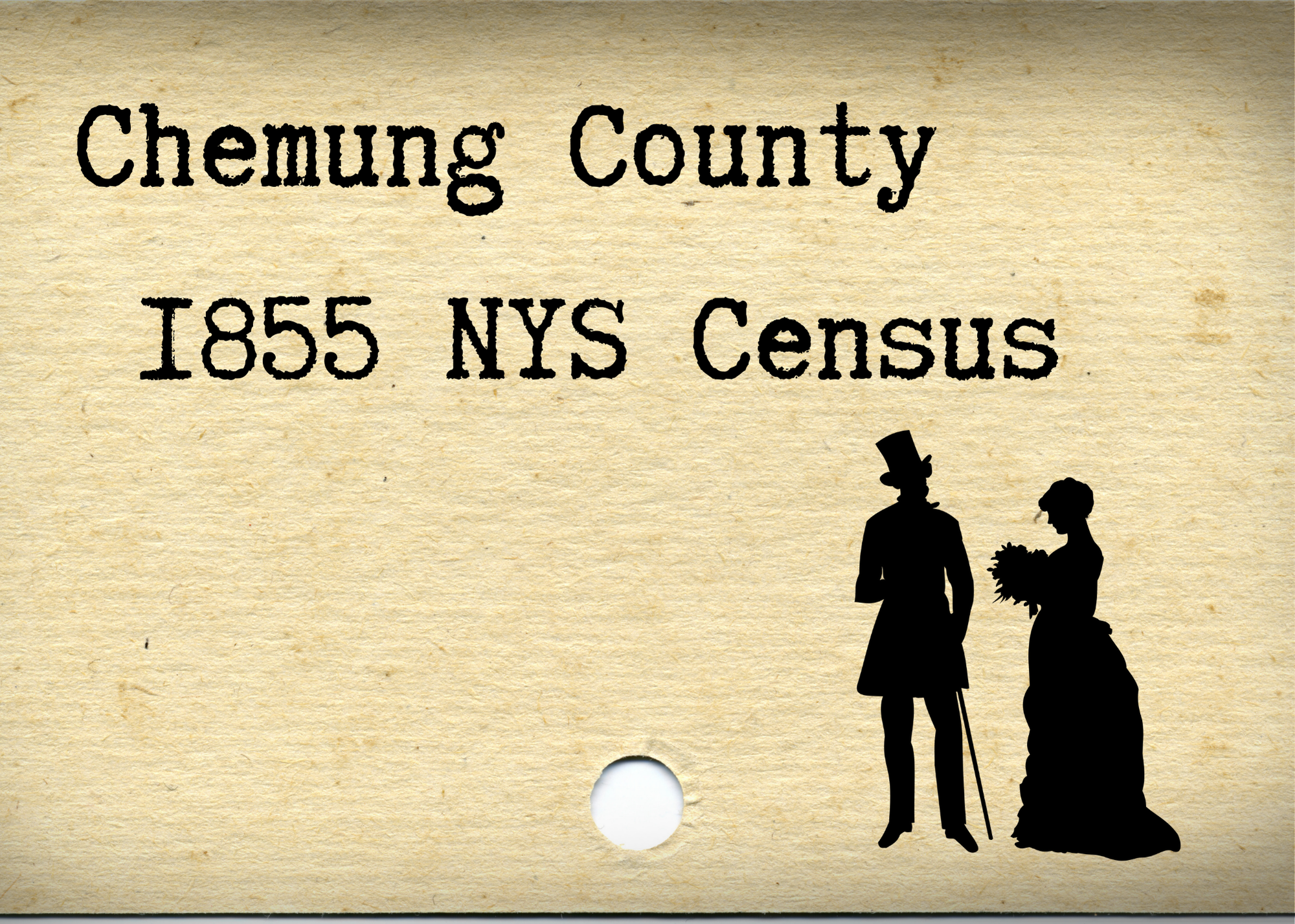 Chemung County 1855 Census