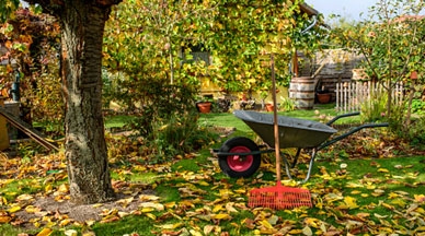 Saying Goodbye to Garden Season – October 2023