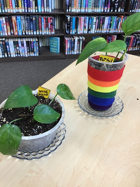 Plants at the Horseheads Free Library – Part 3