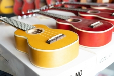 Ukuleles lined up in a row