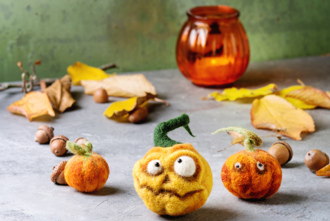 Join us for another needle felting session.   Start your fall and winter projects, perhaps a jack-o-lantern or a snowflake.