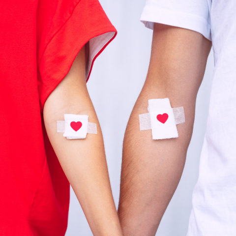 two arms holding hands; both have a bandage, as if the person has donated blood, with a heart design on each bandage.