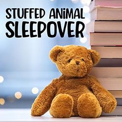 Stuffed Animal Sleepover at Van Etten Library!